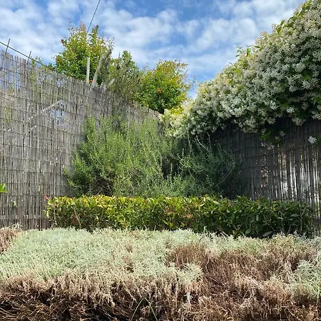 B&B Dolce Sogno * SantʼElpidio a Mare