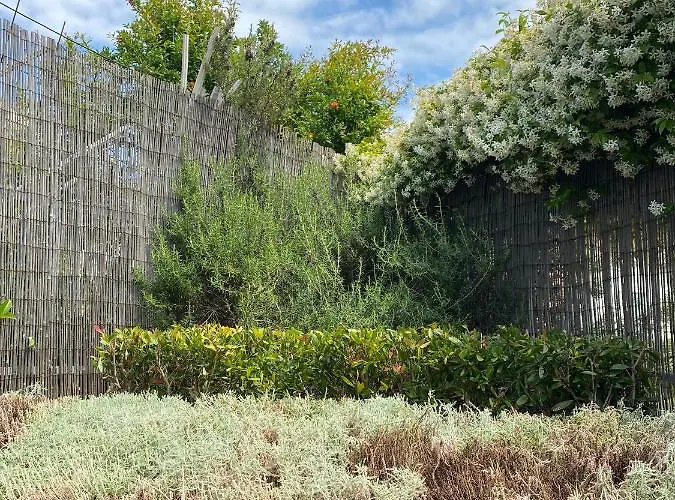 B&B Dolce Sogno * Sant'Elpidio a Mare